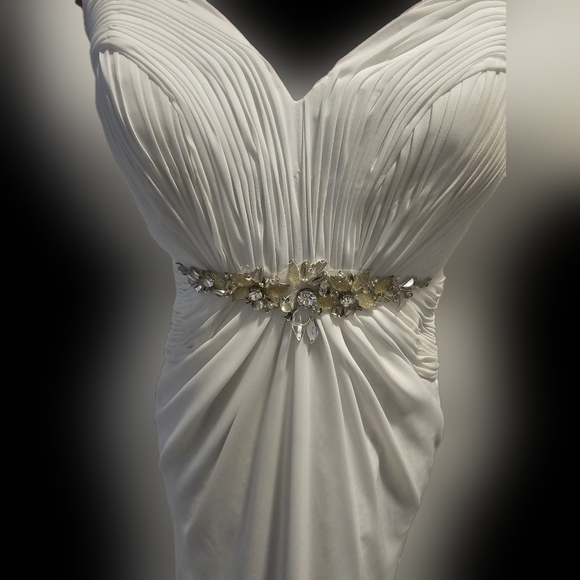 Anna rose gown, new with tags Size 8 - Picture 4 of 14